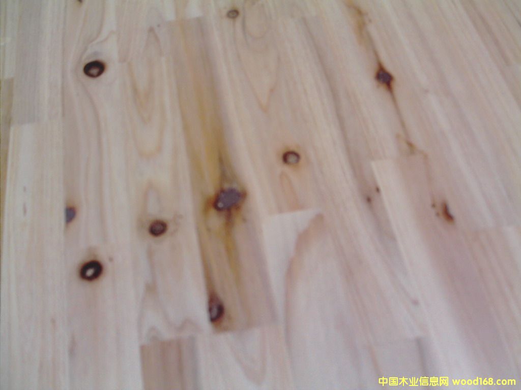 ָ�Ӱ��Ԕ����B