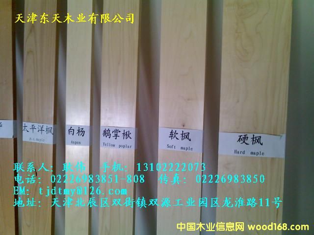 �ľ�ٹ��Ԕ��(x��)��B