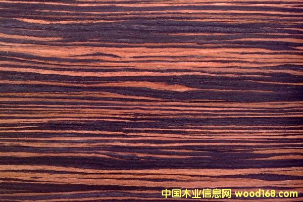 ��̴ľ�b����