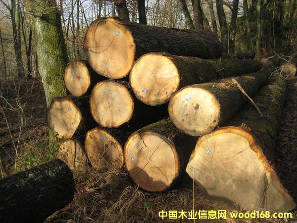 �W�ް���2��Ԕ����B