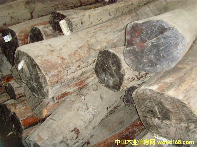 ��ľ��Ԕ��(x��)��B