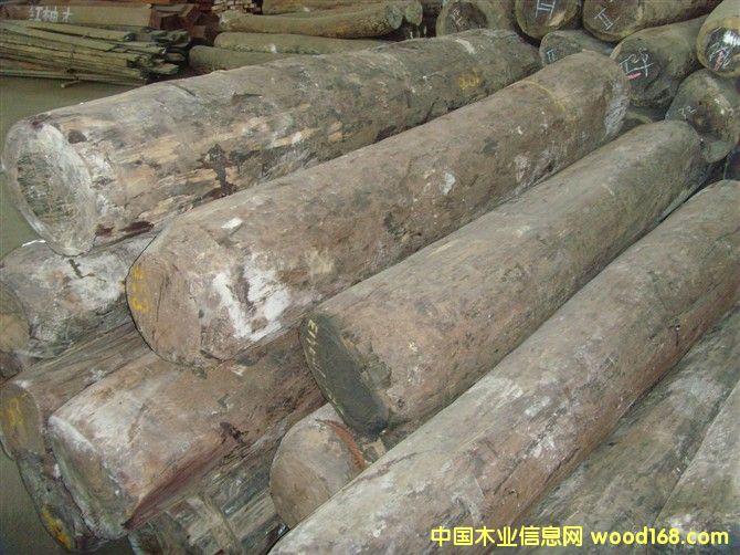 ���޴��~��̴��Ԕ��(x��)��B