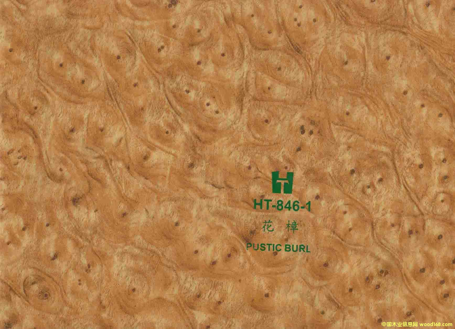 ��ľľ�y��