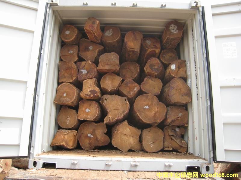 ������ԭľ��Ԕ��(x��)��B