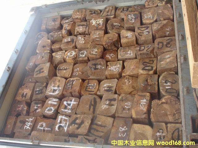 �׃�(n��i)���������Ԕ��(x��)��B