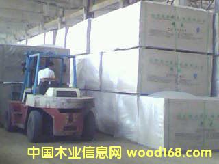 ���ܶ��w�S��