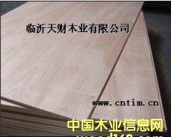 �W������׶��Ӱ�1