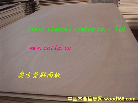 �W������׶��Ӱ�5