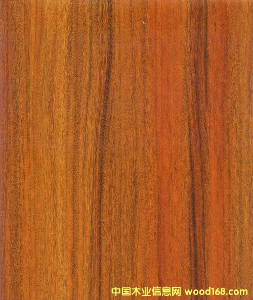 514��Ԕ��(x��)��B