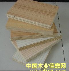 ����˹�����B(t��i)���Ԕ��(x��)��B