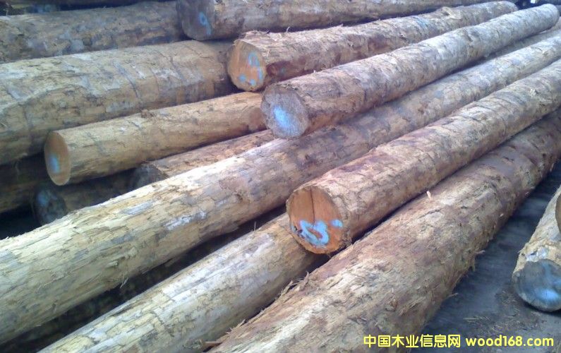 ���ô�(y��u)�|(zh��)������ԭľ��Ԕ��(x��)��B