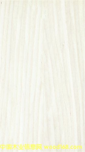 �҃�(n��i)�����T��Ԕ��(x��)��B