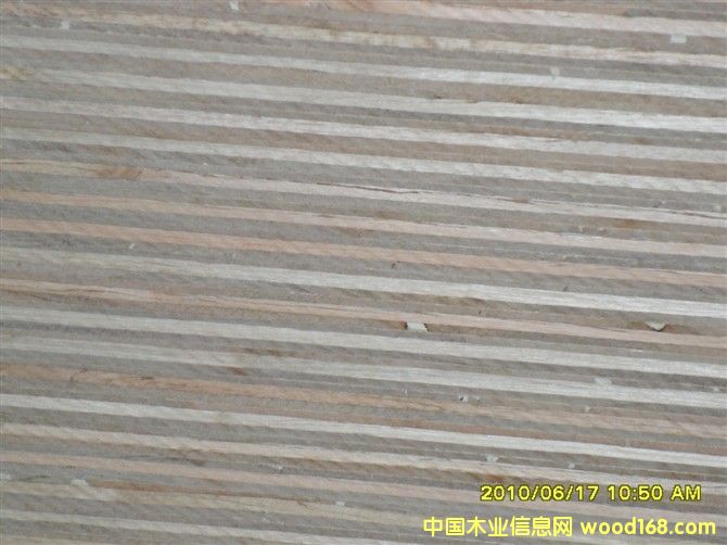 ����.��˽��  .