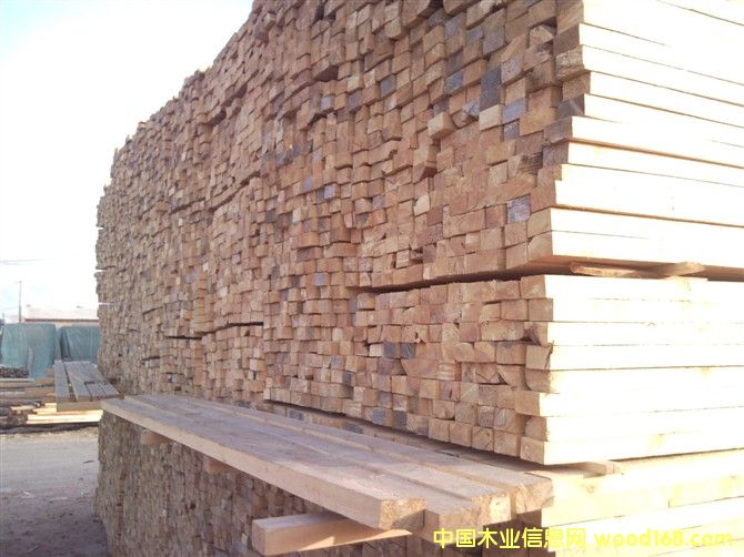 ������ľ����Ԕ����B