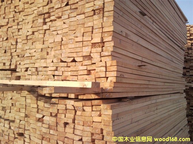 ������ľ����Ԕ����B