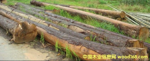 ԭľ��Ԕ��(x��)��B