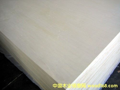 ȫ��ľ�z�ϰ��Ԕ��(x��)��B