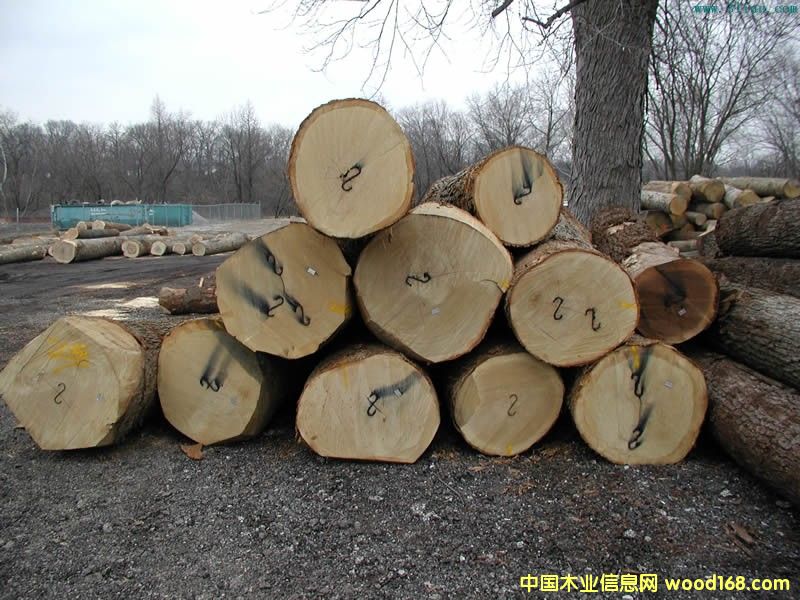 ľ��10��Ԕ��(x��)��B