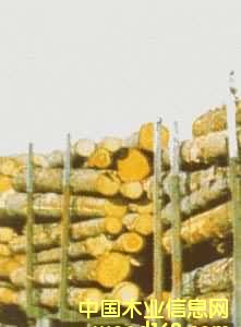 ľ��11��Ԕ��(x��)��B