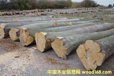 ľ��13��Ԕ��(x��)��B