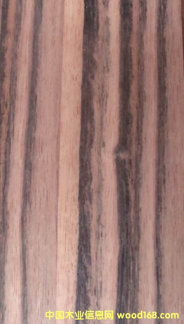 ��к�̴��(sh��)ľ����4