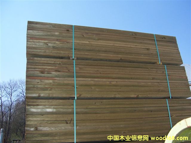 ����ľ��Ԕ����B