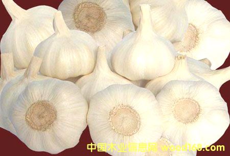 �ذ���ĵ�Ԕ��(x��)��B