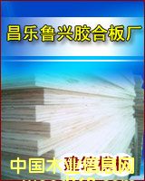 ����ģ���Ԕ����B