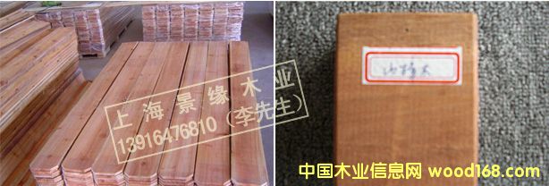 ɽ��ľ��Ԕ��(x��)��B