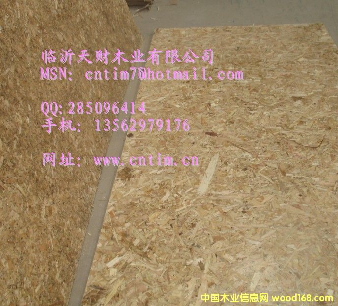 �����ٻ���OSB �R����ؔ(c��i)ľ�I(y��)13562979176��Ԕ��(x��)��B