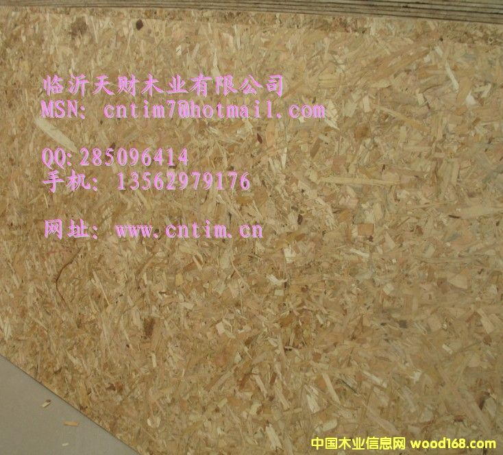 OSB�� �a(ch��n)Ʒ��(qi��ng)�ȸ� �|(zh��)����(w��n)��13562979176��Ԕ��(x��)��B