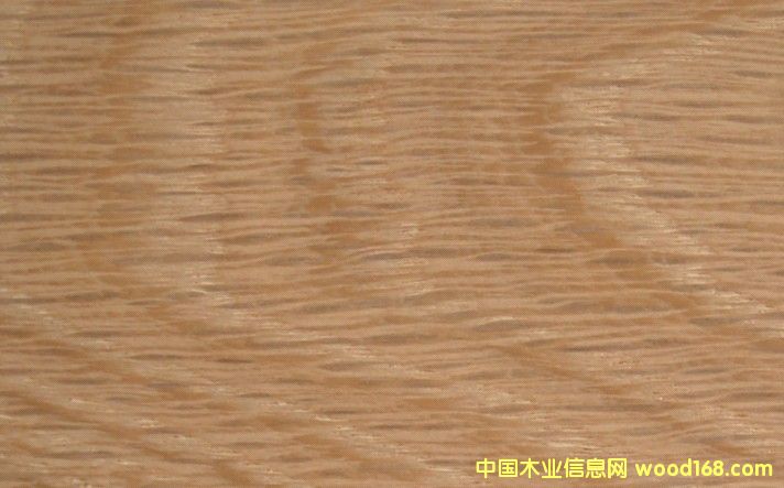 ����ľW(w��ng)O��Ԕ��(x��)��B