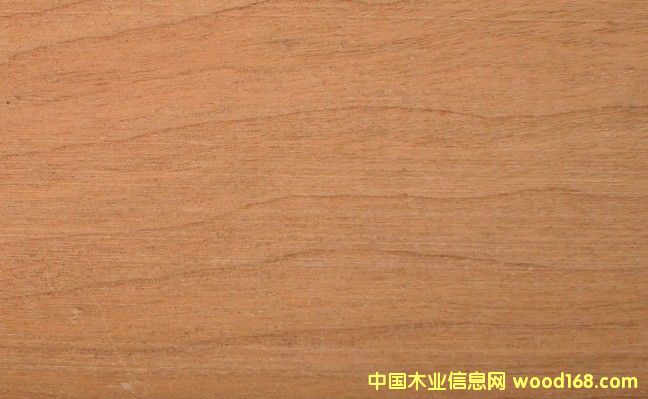 ����ľCH��Ԕ��(x��)��B