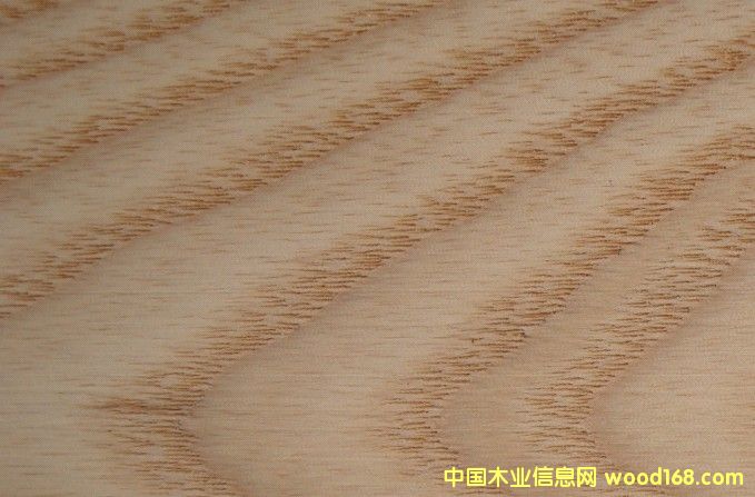 �זzľASH��Ԕ��(x��)��B