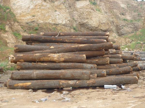 �����Ԕ��(x��)��B