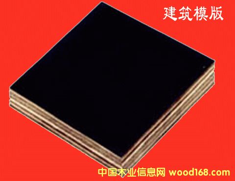 ����ģ���Ԕ����B