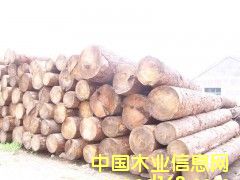 ��(gu��)�a(ch��n)ԭľ