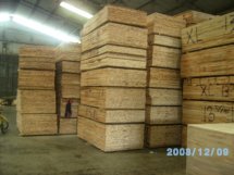 �sľ��(x��)ľ��о���Ԕ��(x��)��B