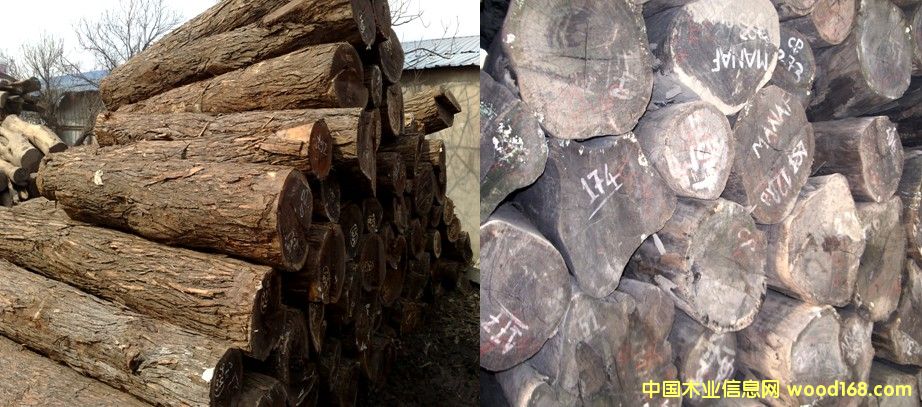 �t�F�� ���F����Ԕ��(x��)��B