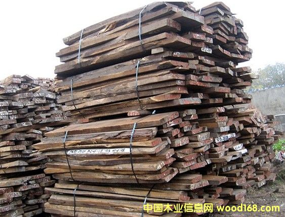 ������֦