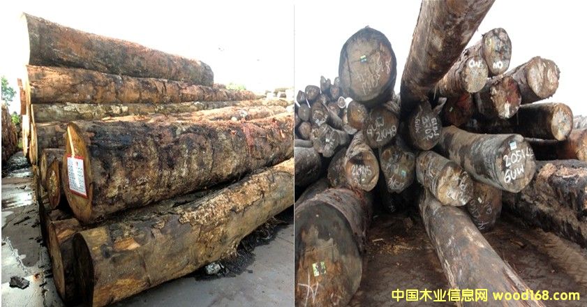 �t��(ji��n) ˮ�zľ