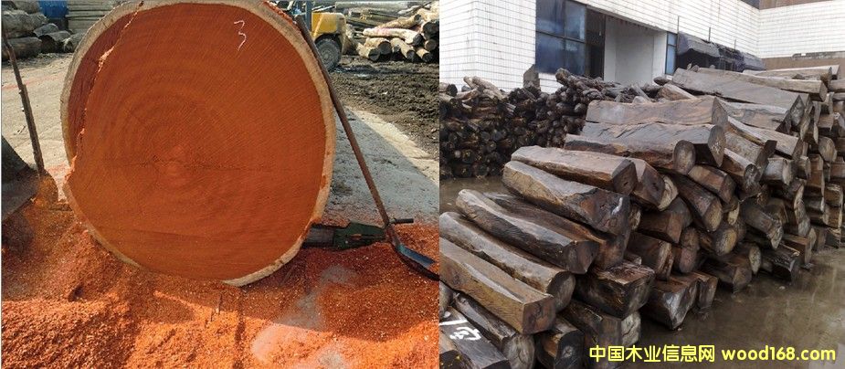 �t���� ������