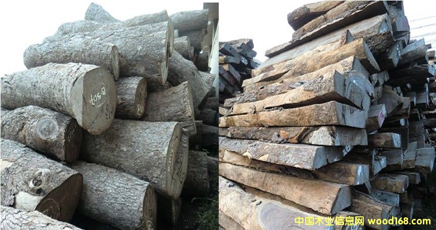 Ƥ�ң�����̴����Ԕ��(x��)��B