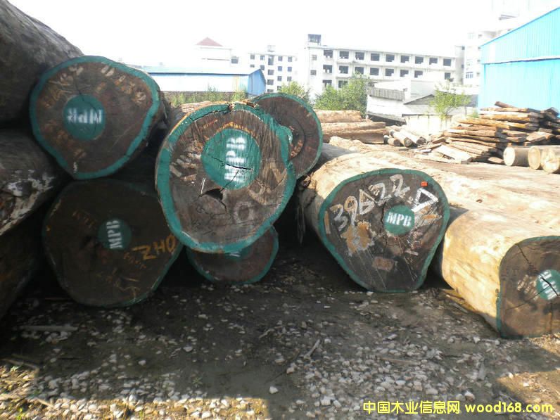 �t�����µ���Ԕ��(x��)��B