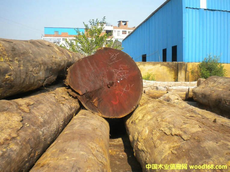 �²��}���Ԕ��(x��)��B