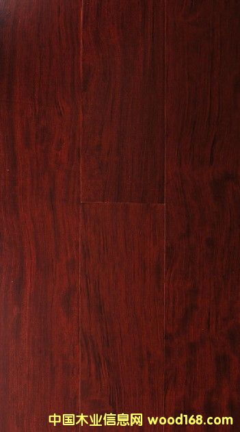 �{(l��n)ɫ�l(w��i)�샞(y��u)�|(zh��)����ذ�,���^��(sh��)�� 