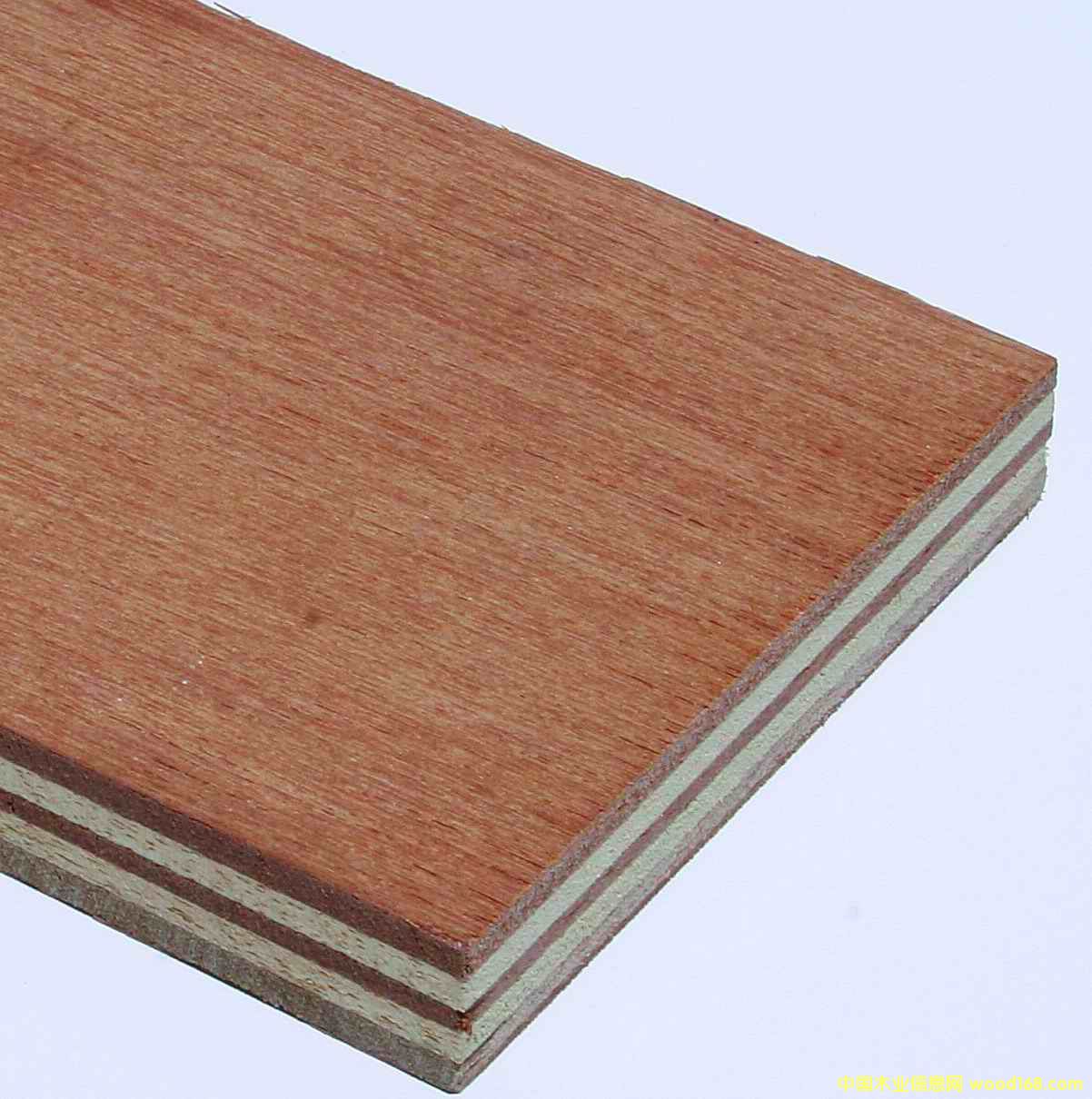 �M(j��n)���z�ϰ��Ԕ��(x��)��B