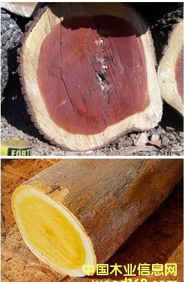 �׈�(ji��n)ľ