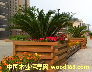 ��ľ�����ص�Ԕ��(x��)��B