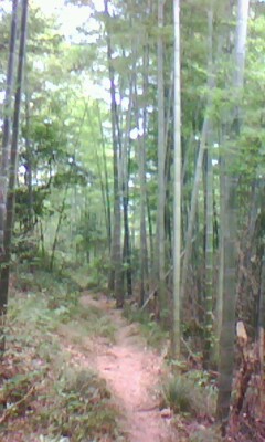 ����Ԕ��(x��)��B